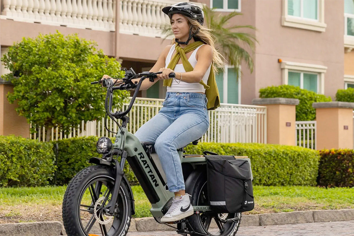 Rattan Quercus Cargo eBike