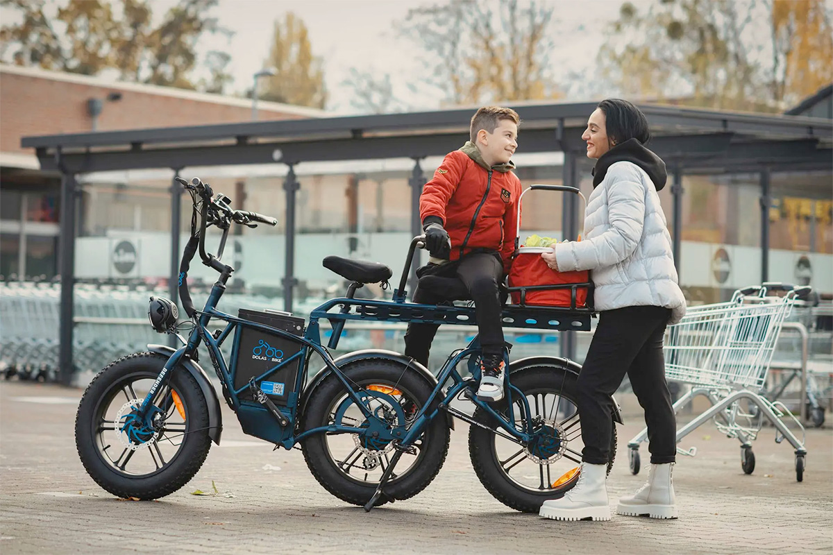 Dolas Defender 250 Cargo eTrike