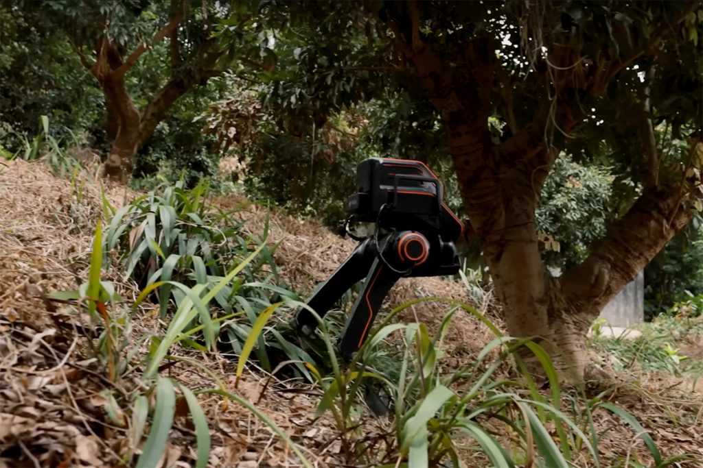LimX Dynamics P1 Bipedal Robot Climbing Grass Hills