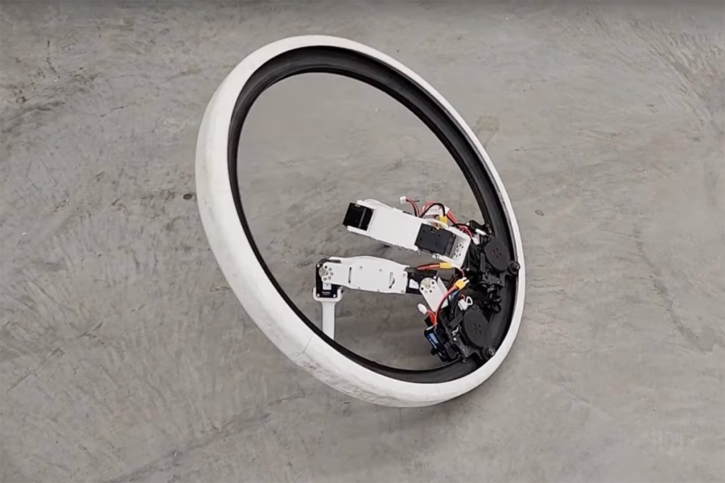 Monocycle Ringbot with Legs Standing Up